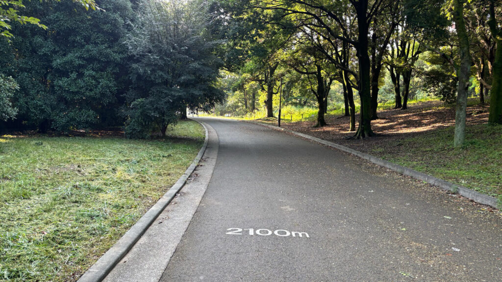 光が丘公園ランニングコースレビュー!31らん