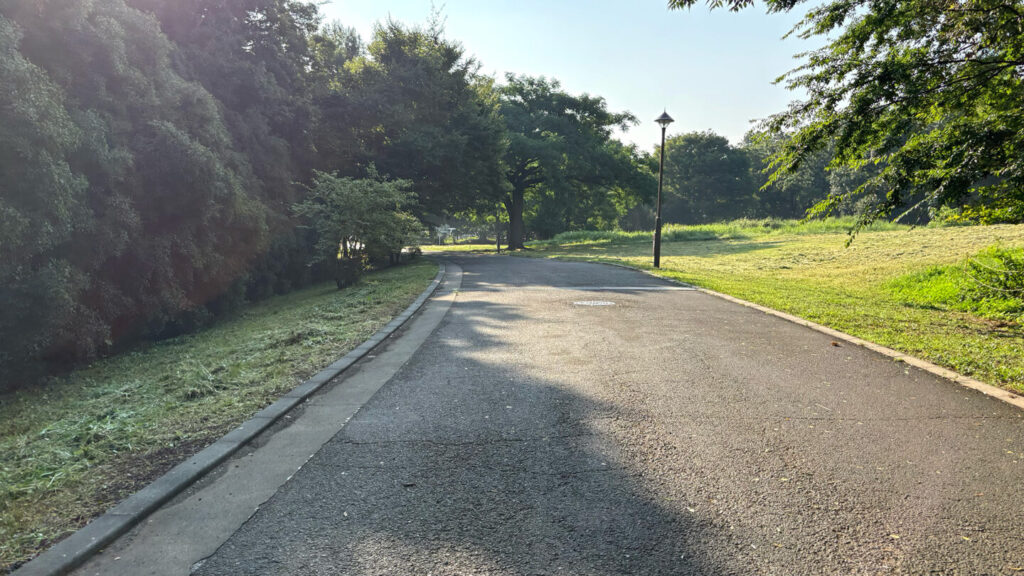 光が丘公園ランニングコースレビュー!31らん