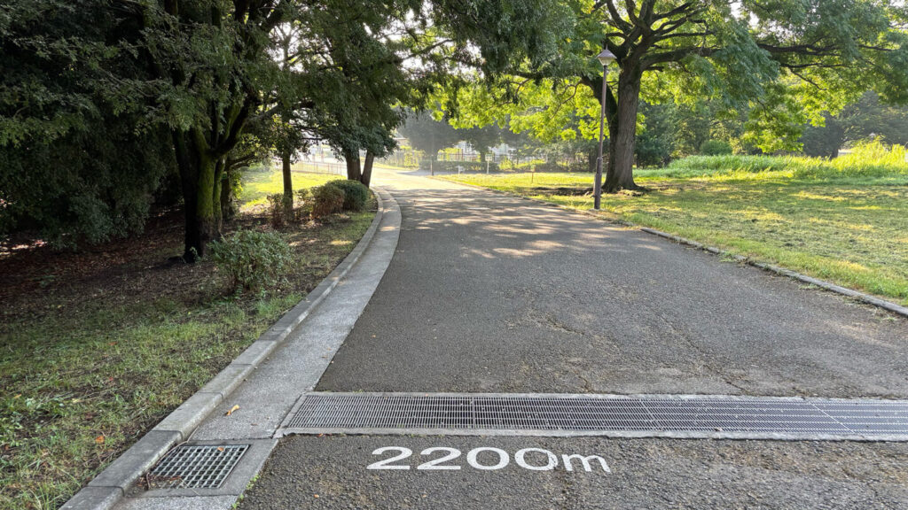 光が丘公園ランニングコースレビュー!31らん