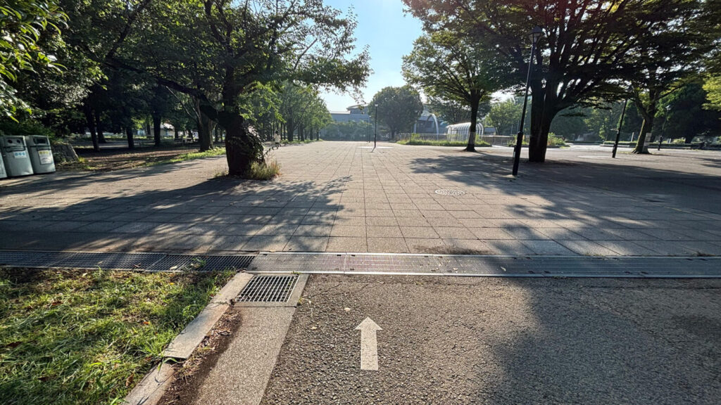 光が丘公園ランニングコースレビュー!31らん