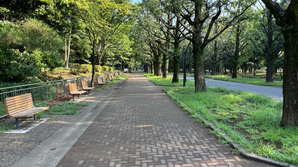 光が丘公園ランニングコースレビュー!31らん