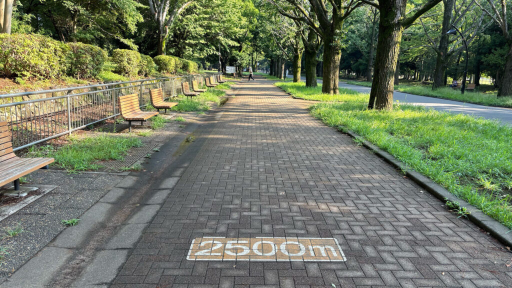 光が丘公園ランニングコースレビュー!31らん