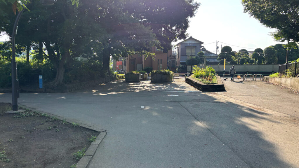 光が丘公園ランニングコースレビュー!31らん