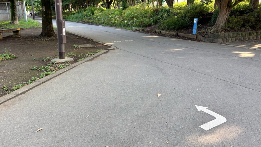 光が丘公園ランニングコースレビュー!31らん
