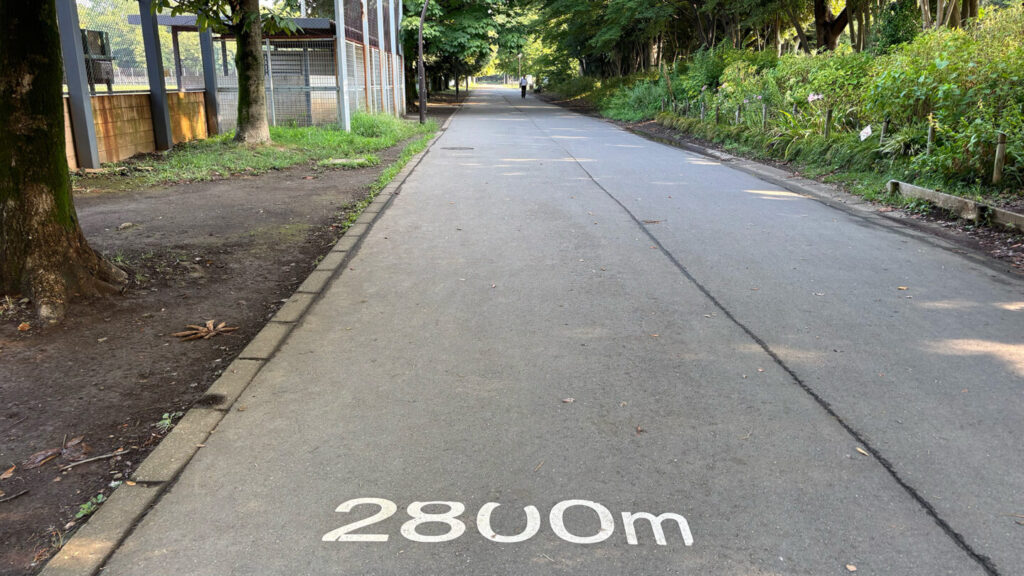 光が丘公園ランニングコースレビュー!31らん