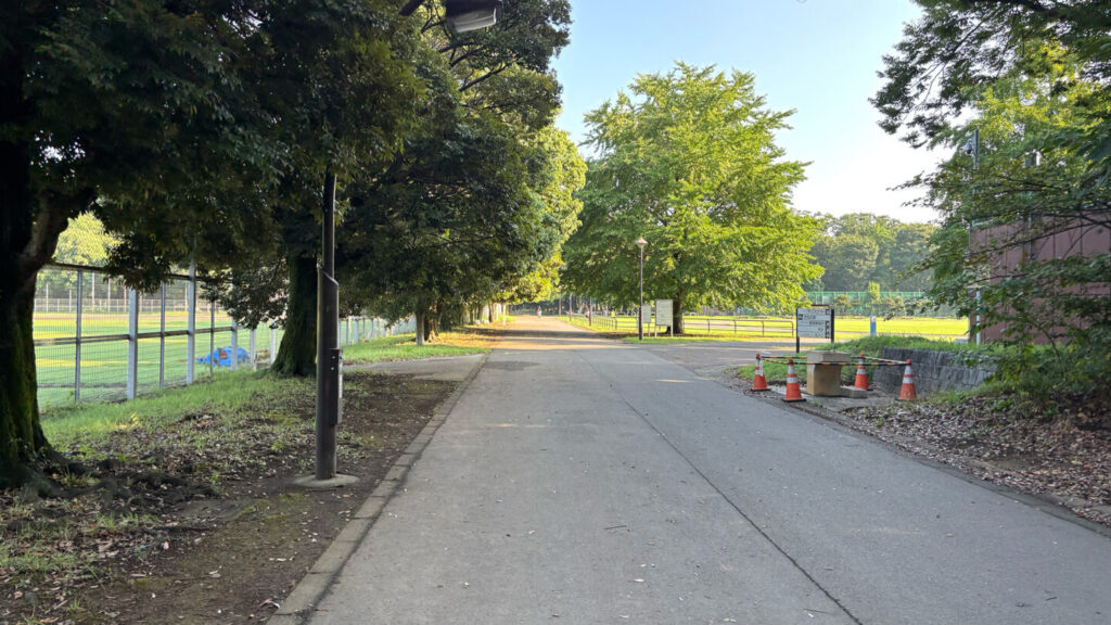 光が丘公園ランニングコースレビュー!31らん