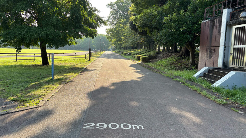 光が丘公園ランニングコースレビュー!31らん