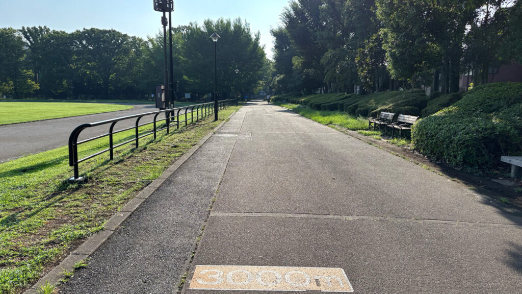 光が丘公園ランニングコースレビュー!31らん