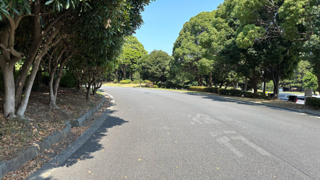 葛西臨海公園ランニングコース紹介|31らん(さいらん)