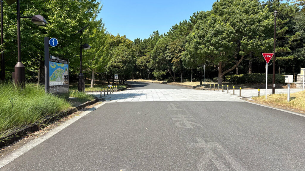 葛西臨海公園ランニングコース紹介|31らん(さいらん)