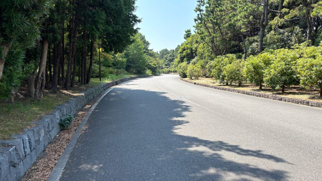 葛西臨海公園ランニングコース紹介|31らん(さいらん)