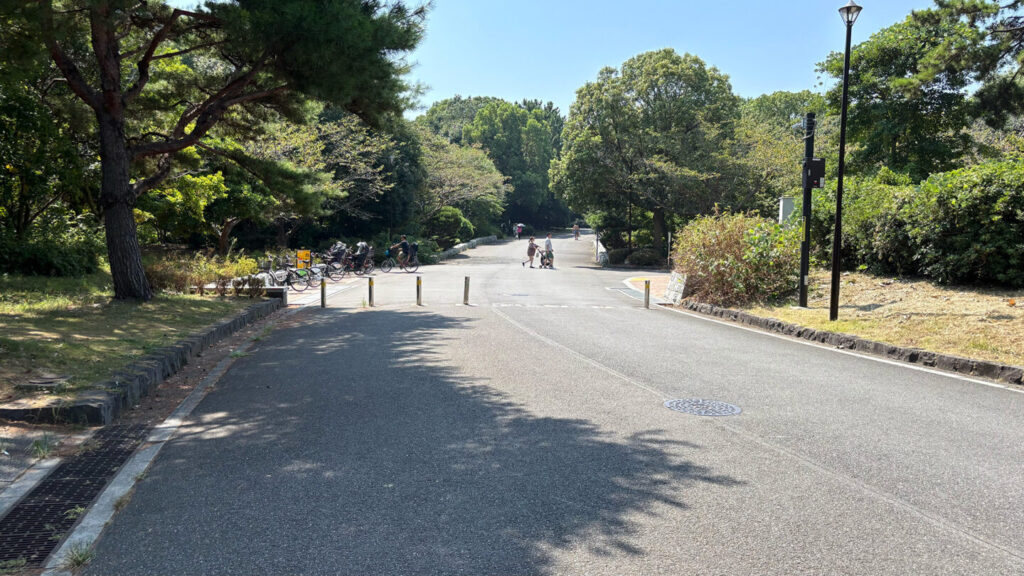 葛西臨海公園ランニングコース紹介|31らん(さいらん)