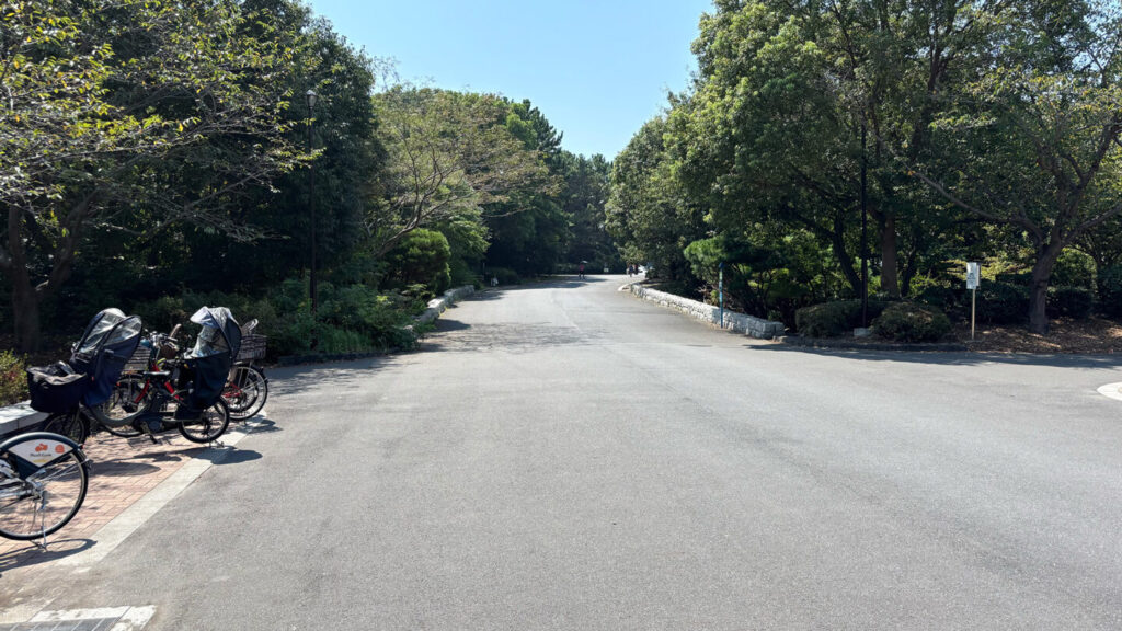 葛西臨海公園ランニングコース紹介|31らん(さいらん)
