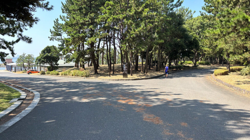 葛西臨海公園ランニングコース紹介|31らん(さいらん)