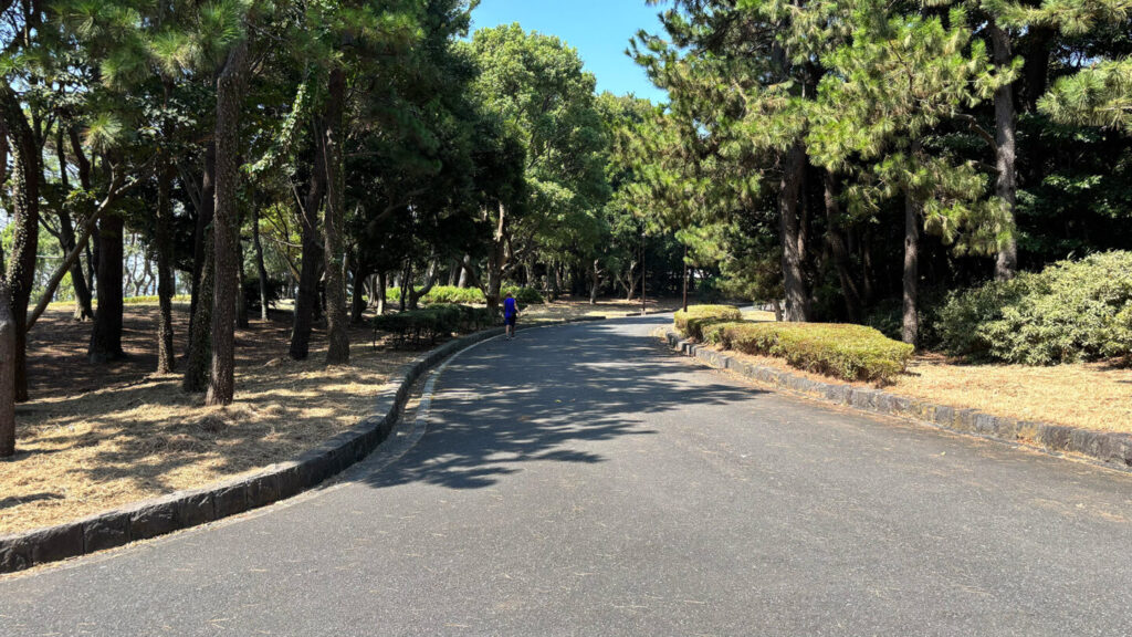 葛西臨海公園ランニングコース紹介|31らん(さいらん)