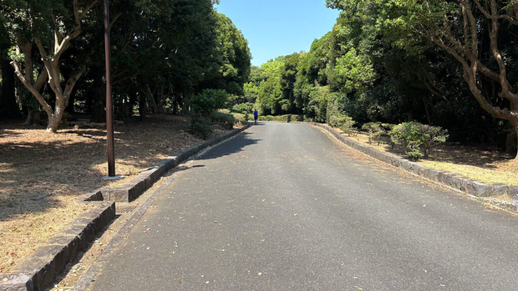 葛西臨海公園ランニングコース紹介|31らん(さいらん)
