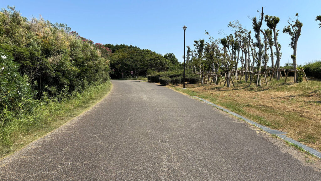 葛西臨海公園ランニングコース紹介|31らん(さいらん)