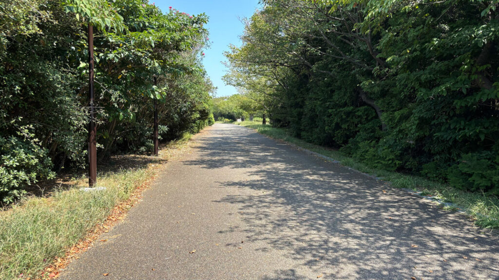 葛西臨海公園ランニングコース紹介|31らん(さいらん)