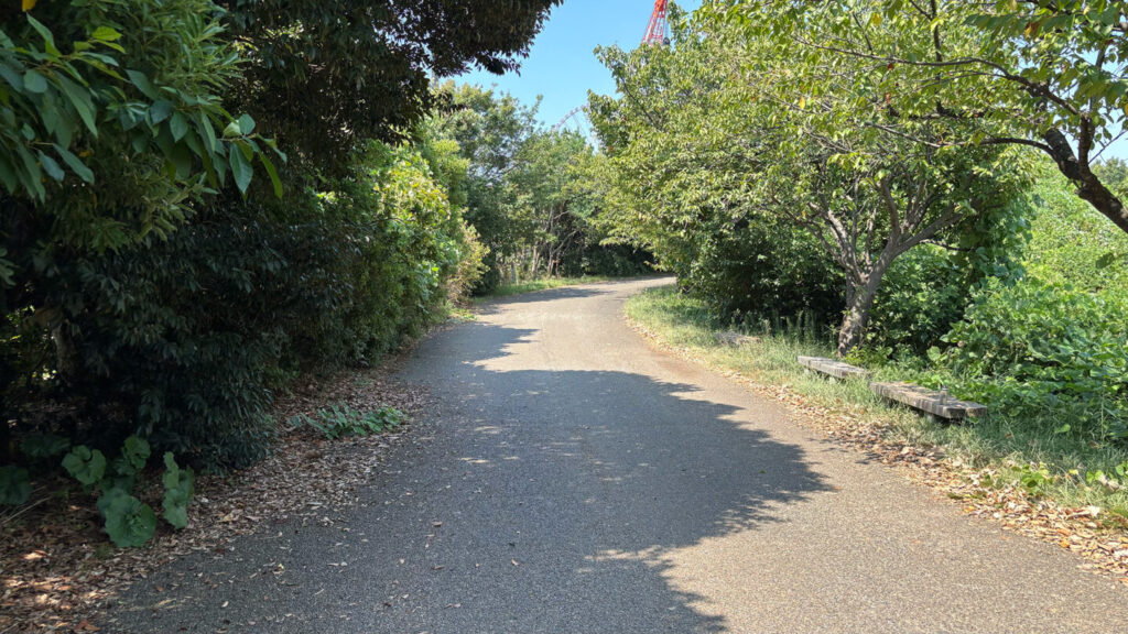 葛西臨海公園ランニングコース紹介|31らん(さいらん)