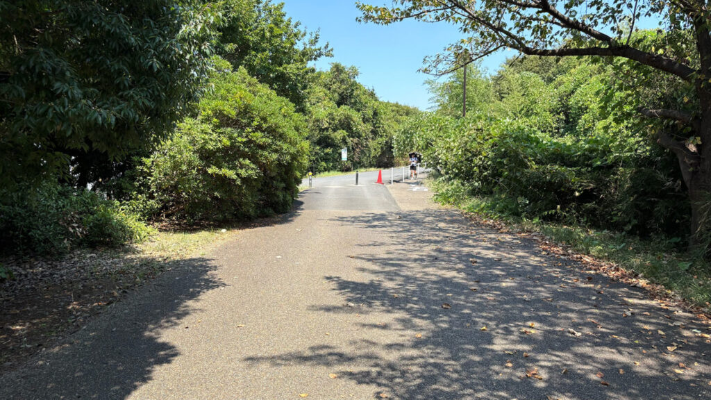 葛西臨海公園ランニングコース紹介|31らん(さいらん)