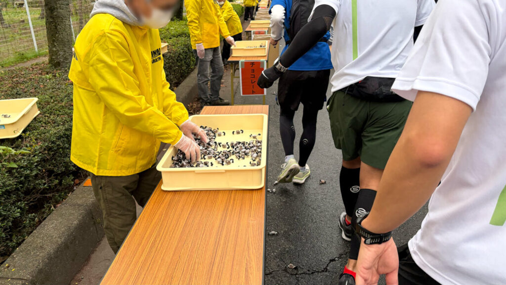 第35回ぐんまマラソン大会レポート|31らん(さいらん)