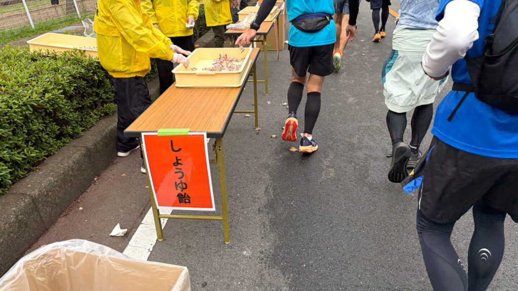 第35回ぐんまマラソン大会レポート|31らん(さいらん)