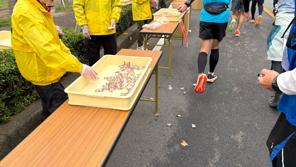 第35回ぐんまマラソン大会レポート|31らん(さいらん)