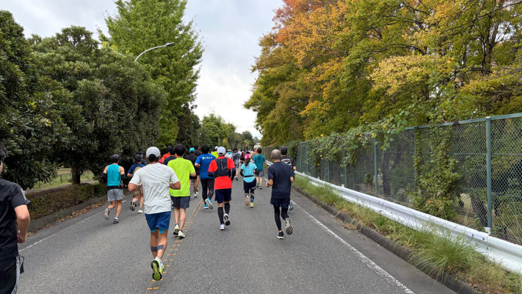 第35回ぐんまマラソン大会レポート|31らん(さいらん)