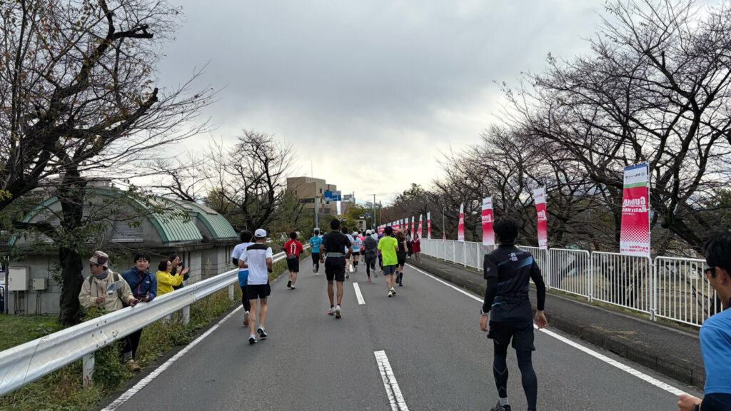第35回ぐんまマラソン大会レポート|31らん(さいらん)