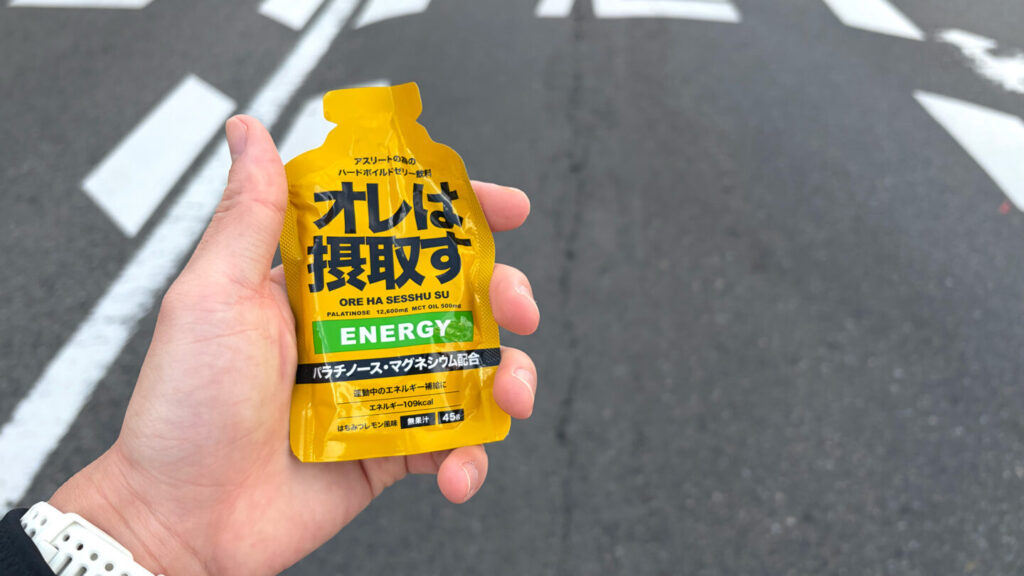 第35回ぐんまマラソン大会レポート|31らん(さいらん)