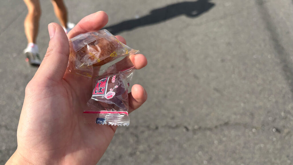 第35回ぐんまマラソン大会レポート|31らん(さいらん)