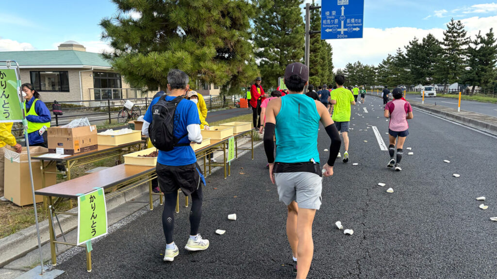 第35回ぐんまマラソン大会レポート|31らん(さいらん)