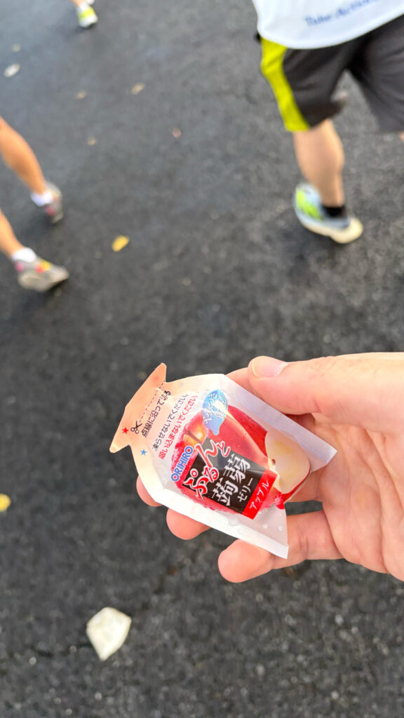 第35回ぐんまマラソン大会レポート|31らん(さいらん)