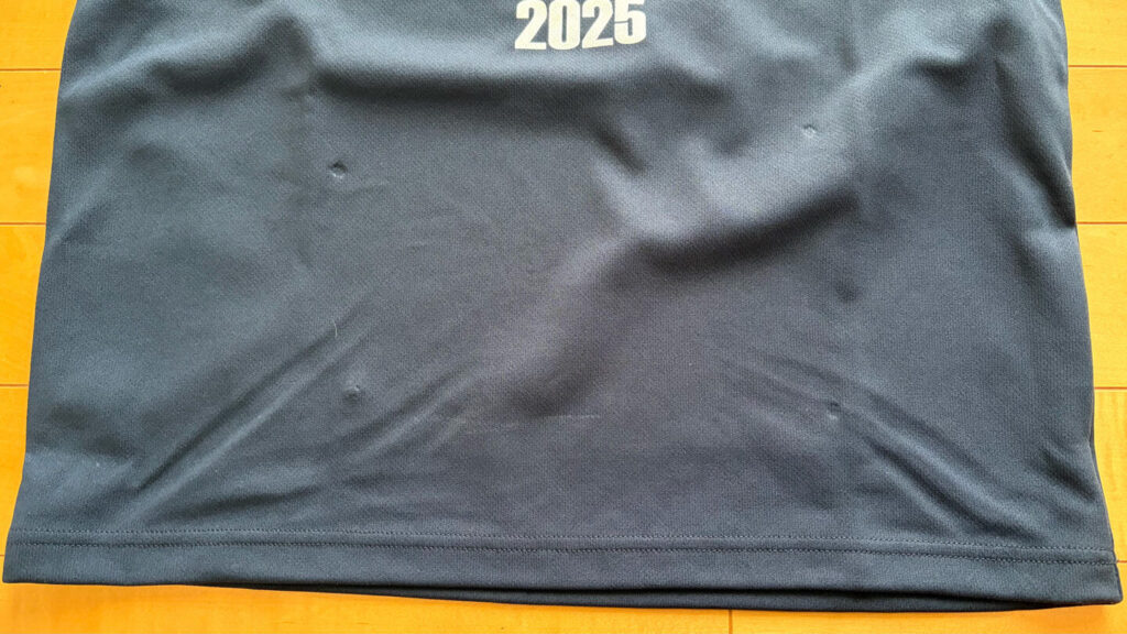 ミズノ ランナップ ゼッケンホルダー|31らん（さいらん）