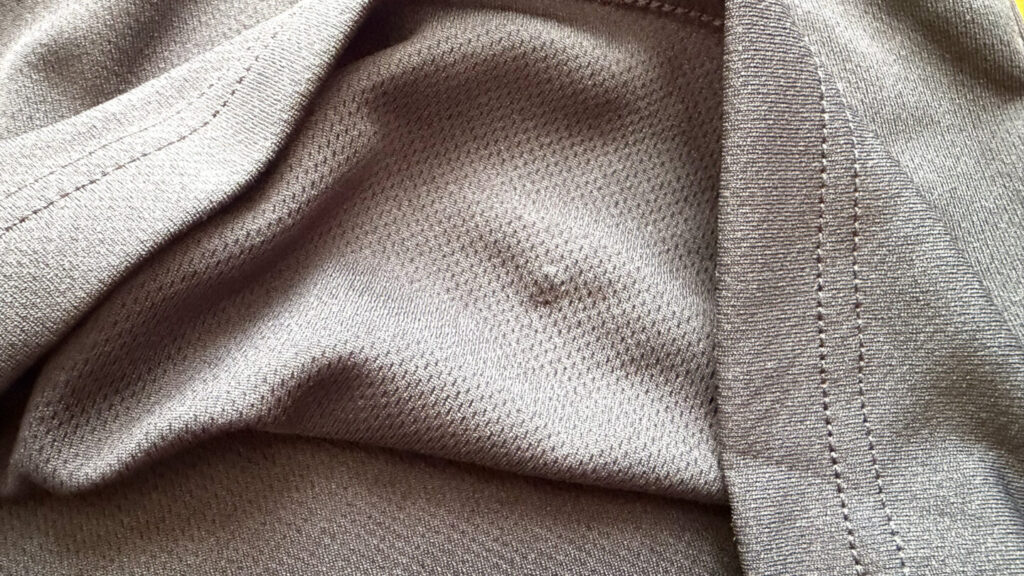 ミズノ ランナップ ゼッケンホルダー|31らん（さいらん）