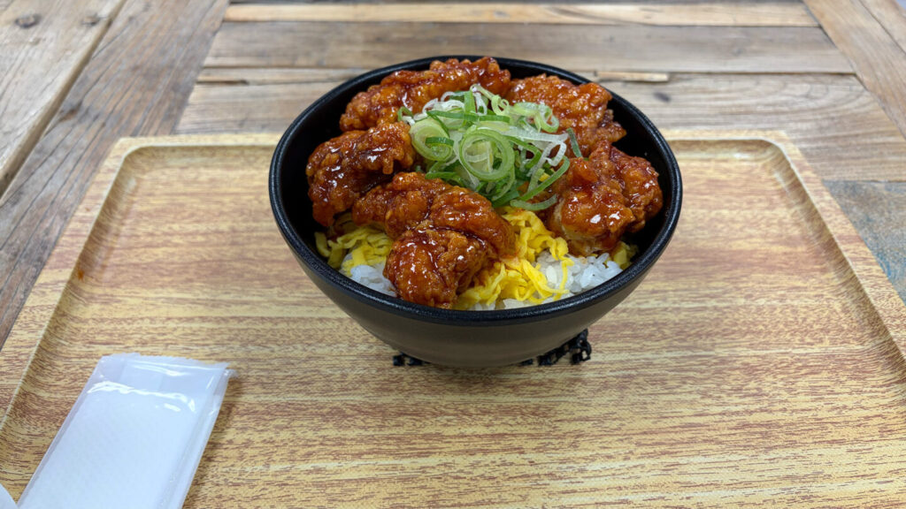 ひたちシーサイドマラソン2025大会レビュー|31らん(さいらん)