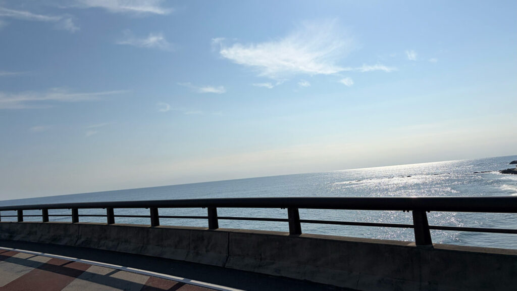 ひたちシーサイドマラソン2025大会レビュー|31らん(さいらん)