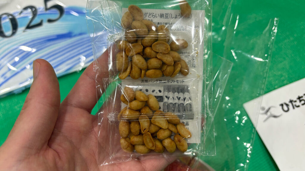 ひたちシーサイドマラソン2025大会レビュー|31らん(さいらん)