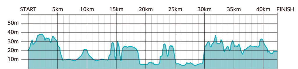 ひたちシーサイドマラソン2025大会レビュー|31らん(さいらん)