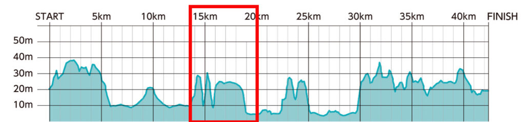 ひたちシーサイドマラソン2025大会レビュー|31らん(さいらん)
