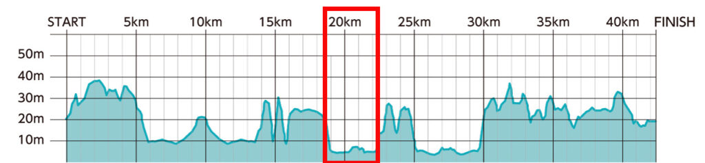 ひたちシーサイドマラソン2025大会レビュー|31らん(さいらん)