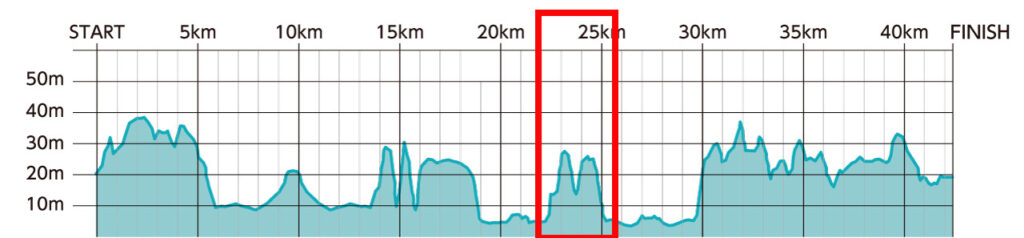 ひたちシーサイドマラソン2025大会レビュー|31らん(さいらん)