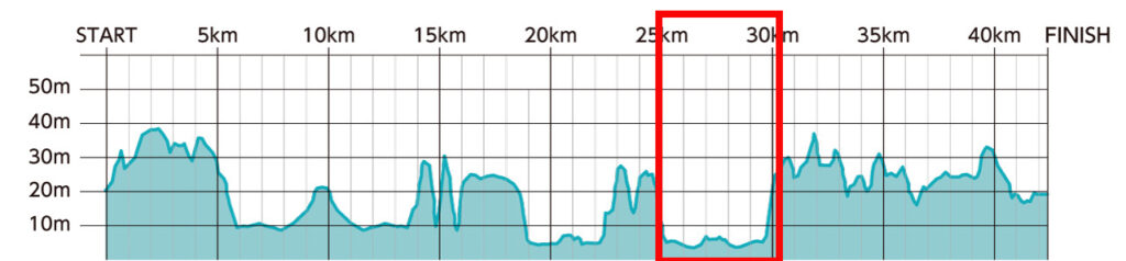 ひたちシーサイドマラソン2025大会レビュー|31らん(さいらん)