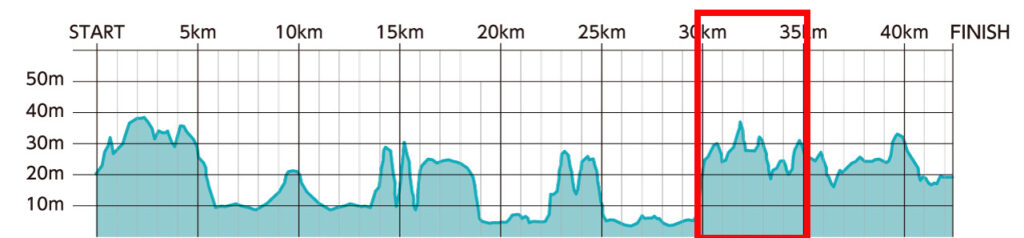 ひたちシーサイドマラソン2025大会レビュー|31らん(さいらん)