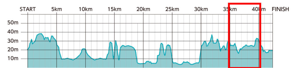 ひたちシーサイドマラソン2025大会レビュー|31らん(さいらん)