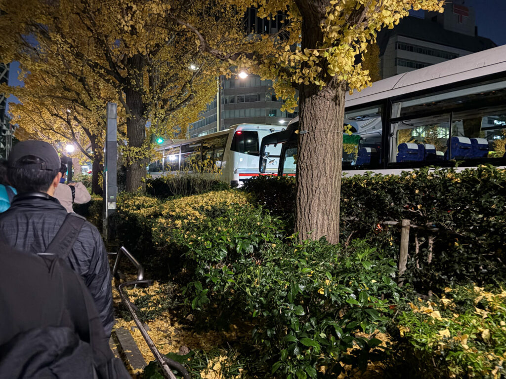 第20回 湘南国際マラソン大会レポ|31らん(さいらん)