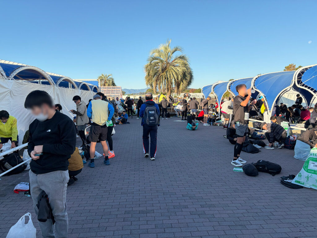 第20回 湘南国際マラソン大会レポ|31らん(さいらん)