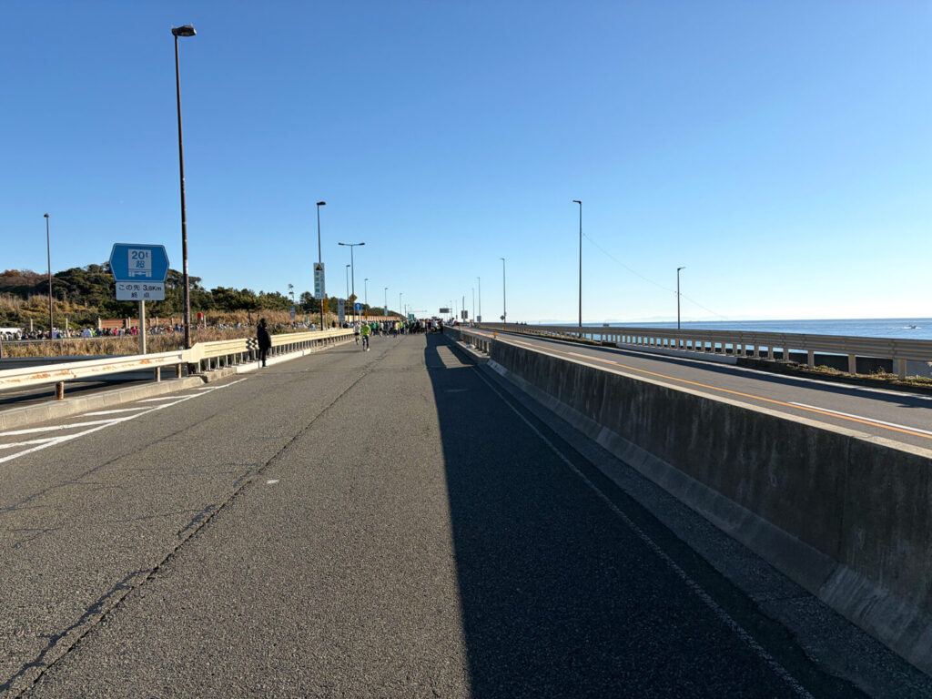 第20回 湘南国際マラソン大会レポ|31らん(さいらん)