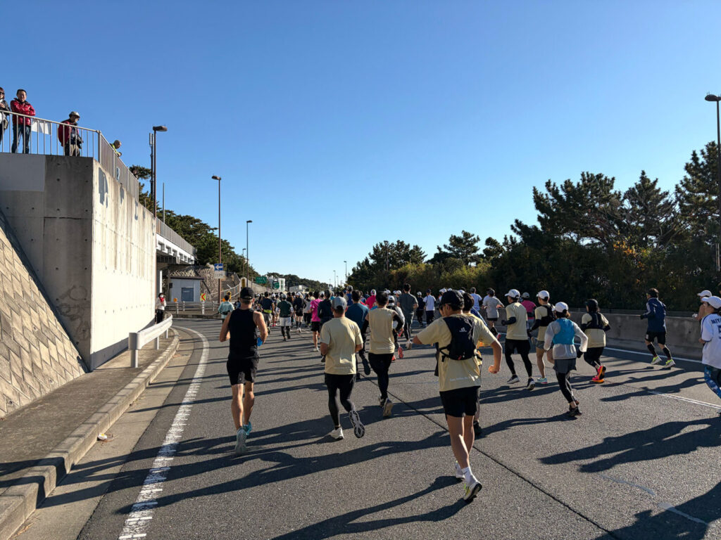 第20回 湘南国際マラソン大会レポ|31らん(さいらん)