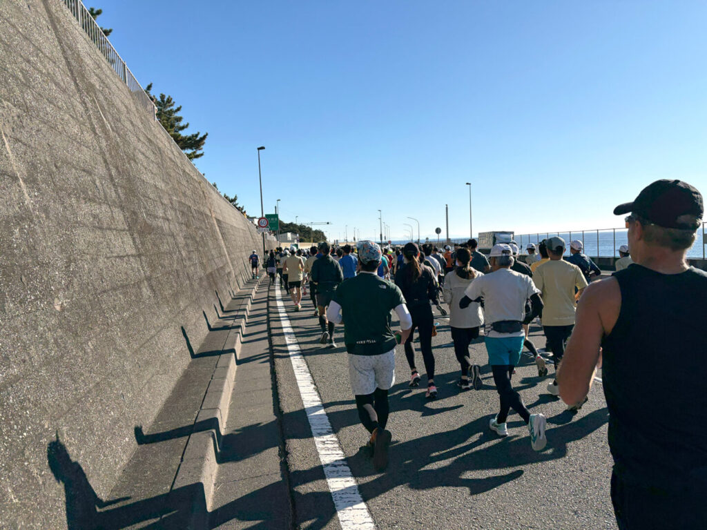 第20回 湘南国際マラソン大会レポ|31らん(さいらん)